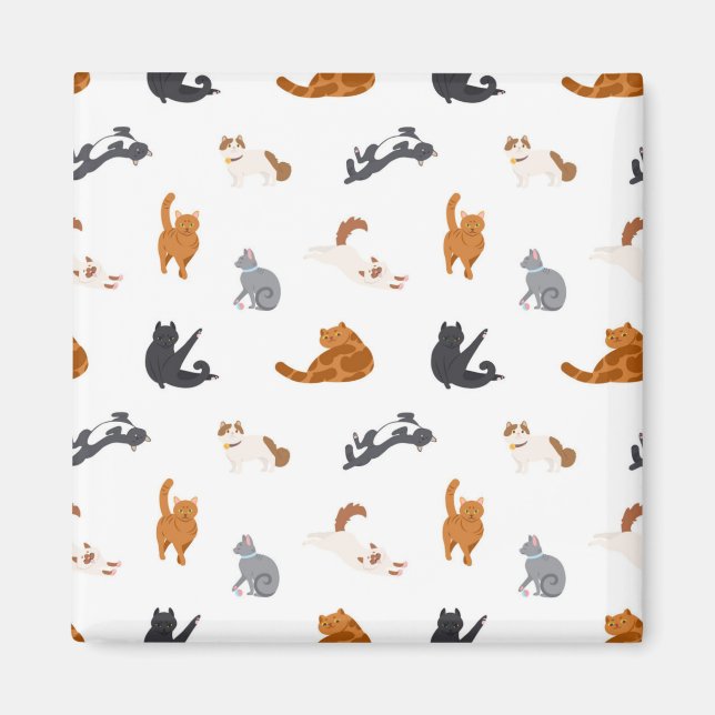 Imán Patrón de gato (Frente)