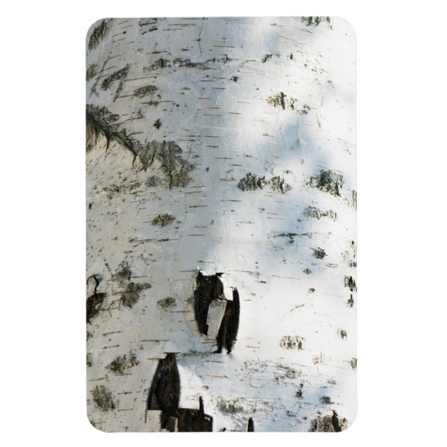 Imán Patrón de la corteza de Birch (Vertical)