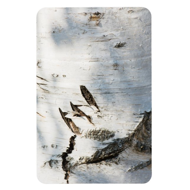 Imán Patrón de la corteza de Birch (Vertical)