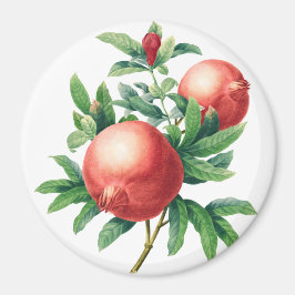 Imán Patrón de las aves de corral