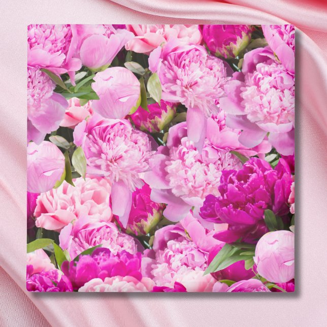 Imán Patrón de Peonías Rosadas (Subido por el creador)