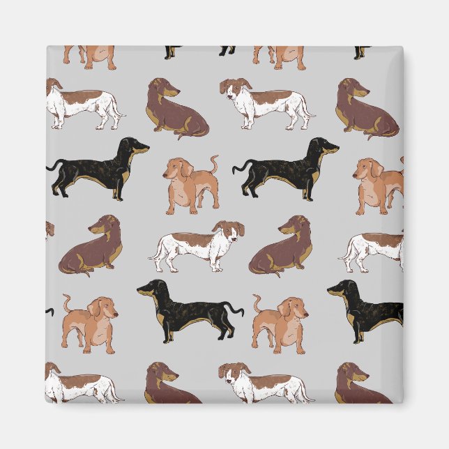 Imán Patrón de perro de Dachshund (Frente)