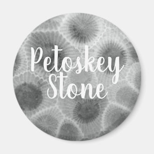 Imán Patrón de piedra de Petoskey