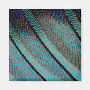 Imán patrón de pluma azul