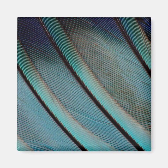 Imán patrón de pluma azul (Frente)