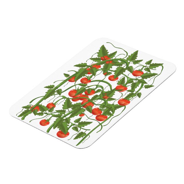 Imán Patrón de Tomates (Lado Izquierdo)