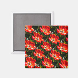 Imán Patrón de tulipanes rojos