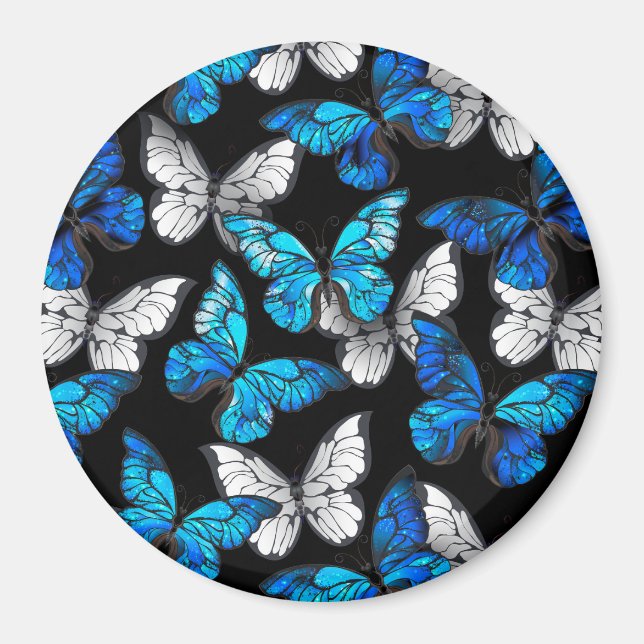 Imán Patrón oscuro sin foco con mariposas azules morfo (Frente)