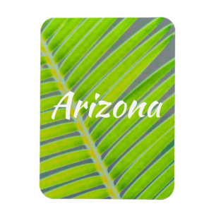Imán Patrones de palmeras, Arizona