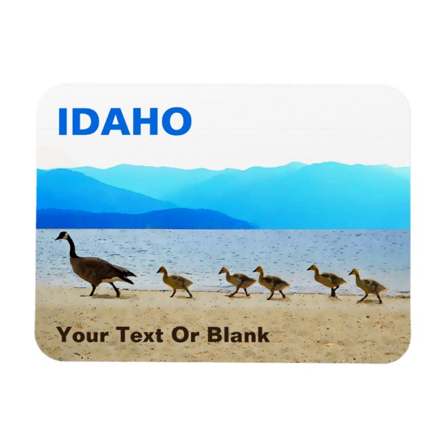 Imán Patrulla Shore - Canadá Geese (Horizontal)