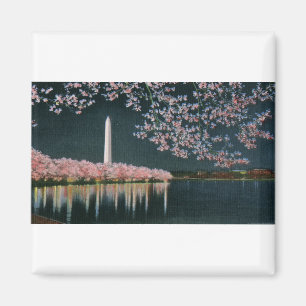 Imán PAU42 Washington en Night.tif