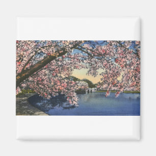 Imán PAU43 Basin.tif de marea