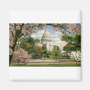 Imán PAU46 los E.E.U.U. Capitol.tif