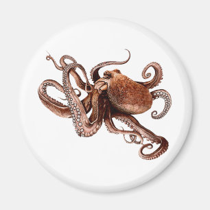 Imán Paul el pulpo