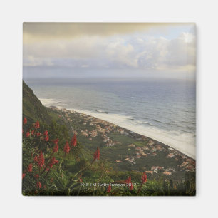 Imán Paul estropea, Calheta, Madeira, Portugal 2