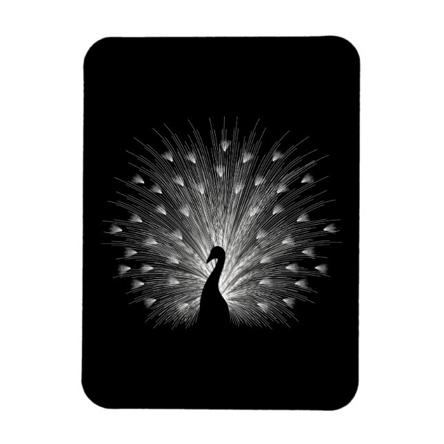 Imán Pavo blanco (Vertical)