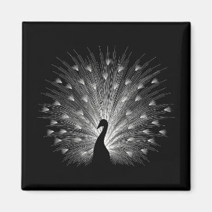 Imán Pavo blanco