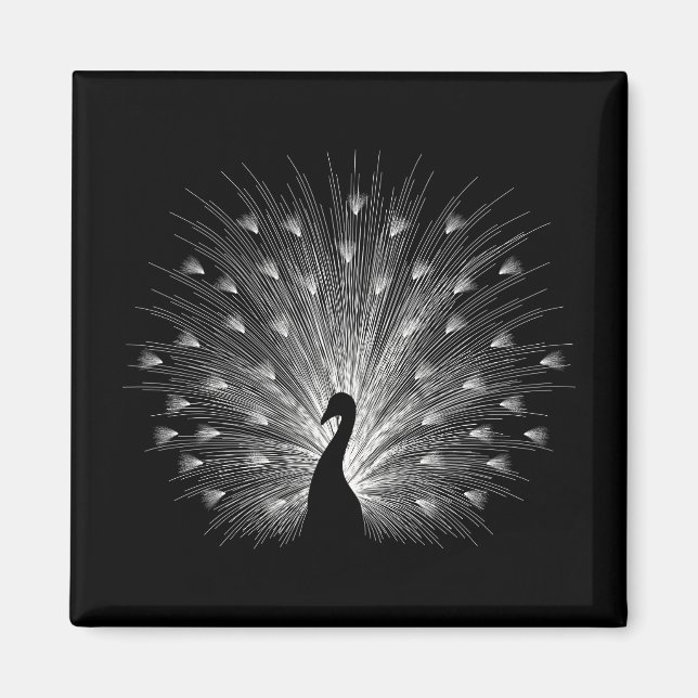 Imán Pavo blanco (Frente)