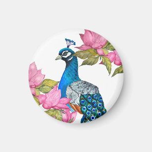 Imán Pavo de agua