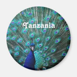 Imán Pavo real de Tanzania