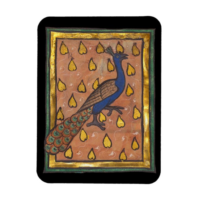 Imán Pavo real del bestiario medieval c. 1270 (Vertical)
