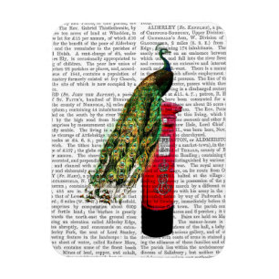 Imán Pavo real en buzón