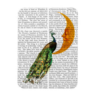 Imán Pavo real en la luna
