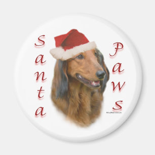 Imán Paws de Dachshund - Longhair