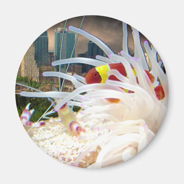 Imán Payaso (Frente)