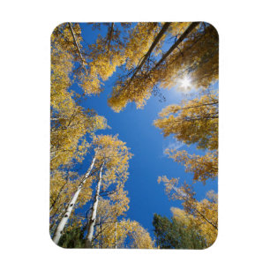 Imán Paz y serenidad en el Aspen