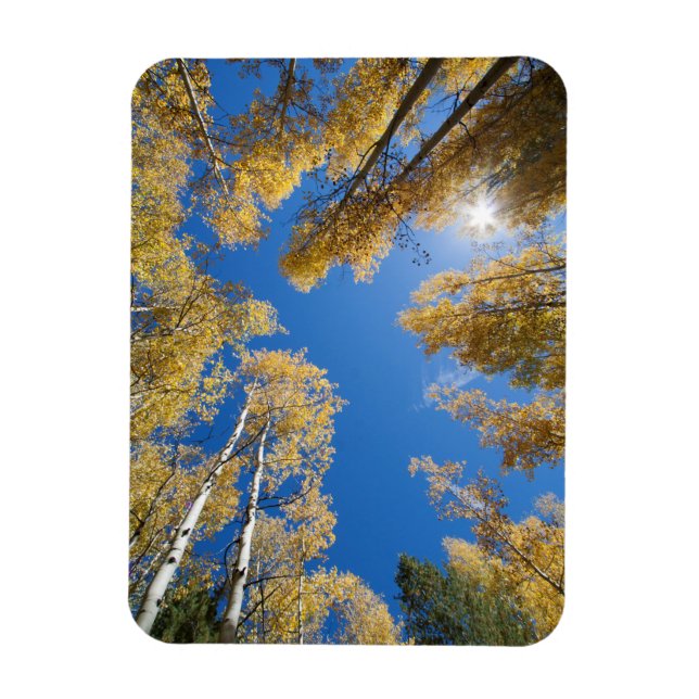 Imán Paz y serenidad en el Aspen (Vertical)