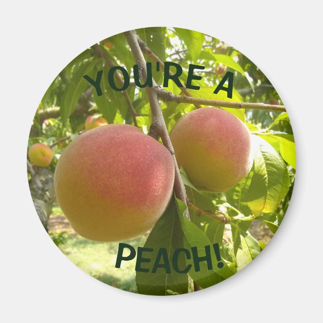 Imán Peach Photo text Eres un Peach (Frente)
