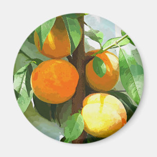 IMÁN PEACHES