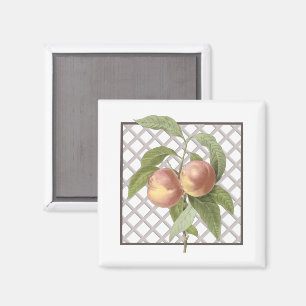 IMÁN PEACHES