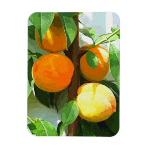 IMÁN PEACHES