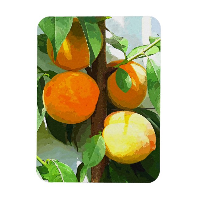 IMÁN PEACHES (Vertical)