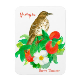 Imán Peaches Cherokee Rosa Bird Watercolor