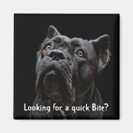 Imán Peaches Magnet