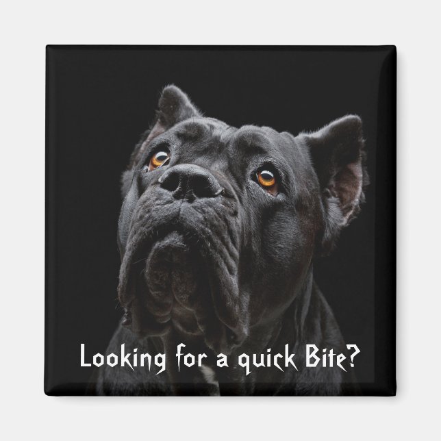 Imán Peaches Magnet (Frente)