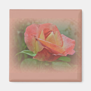 Imán Peachy Rosa Blossom