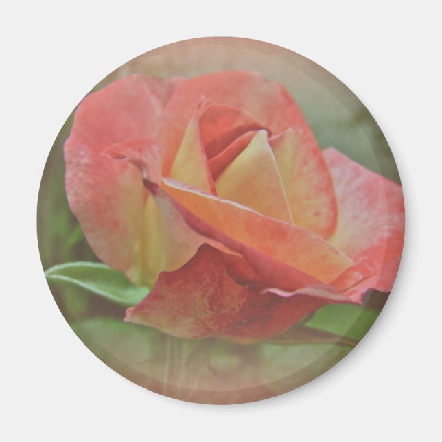 Imán Peachy Rosa Blossom (Frente)