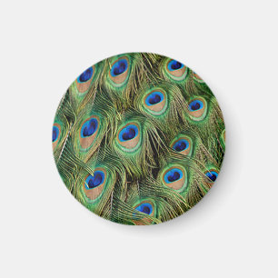 Imán Peacock