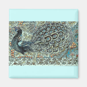 Imán Peacock
