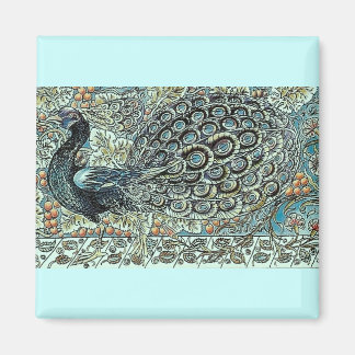 Imán Peacock