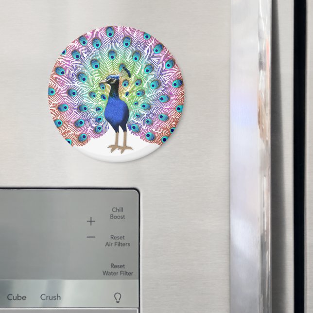Imán Peacock colorido (In situ (nevera))