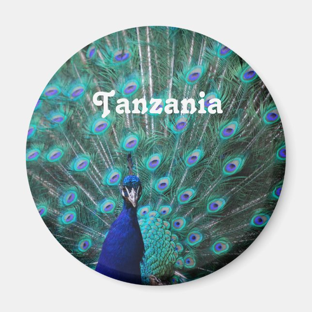 Imán Peacock de Tanzania (Frente)