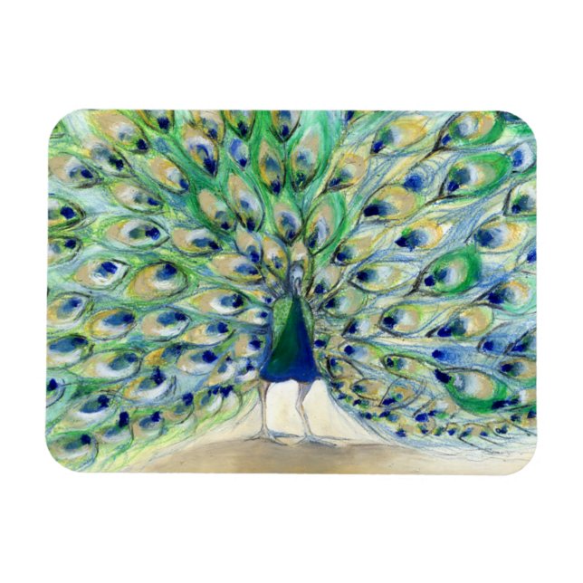 Imán Peacock en San Diego 2013 (Horizontal)