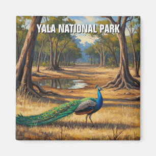 Imán Peacock en Sri Lanka Viaje en el Parque Nacional Y