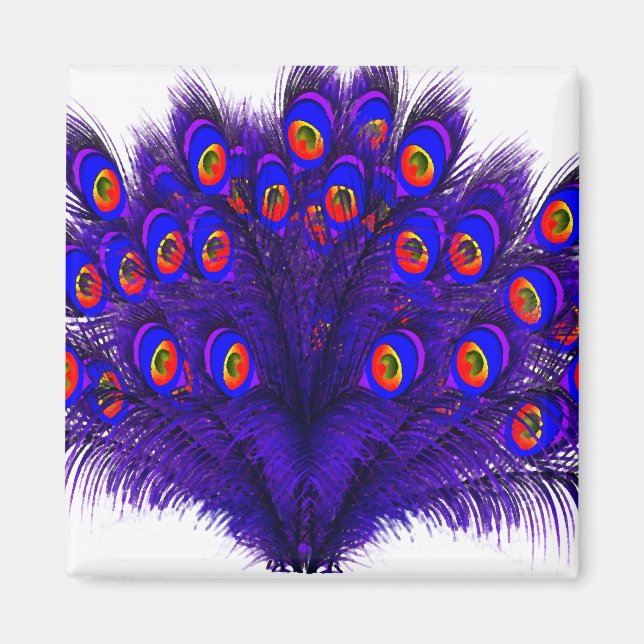 Imán Peacock Feathers (Frente)