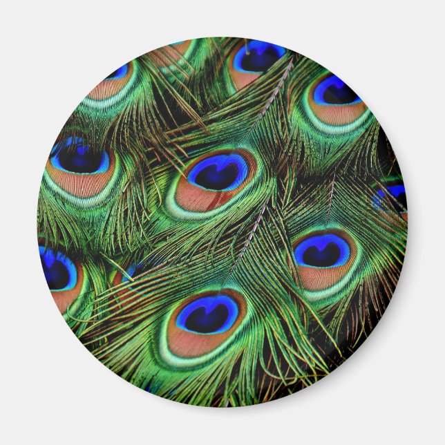 Imán Peacock Feathers (Frente)